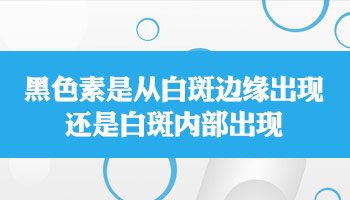 308激光治疗仪多少钱